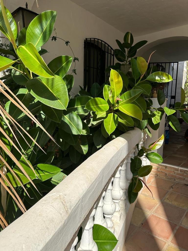 Monte Cielo Apartment Nerja Exterior photo